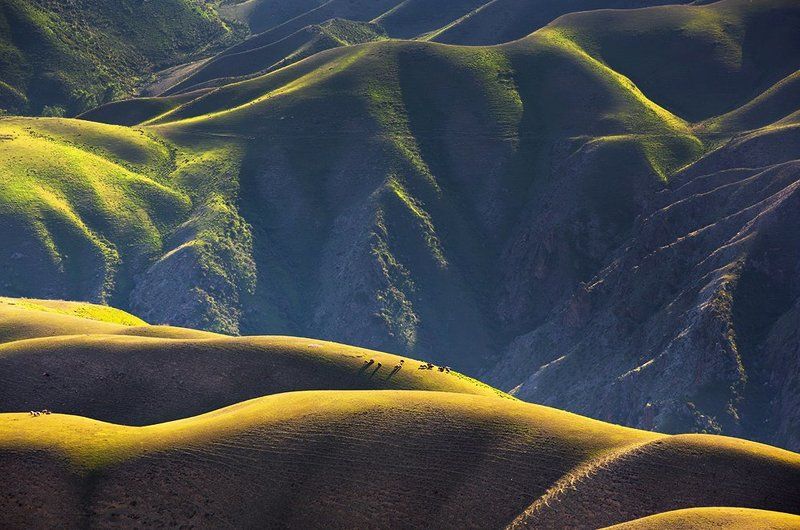 veld фото превью
