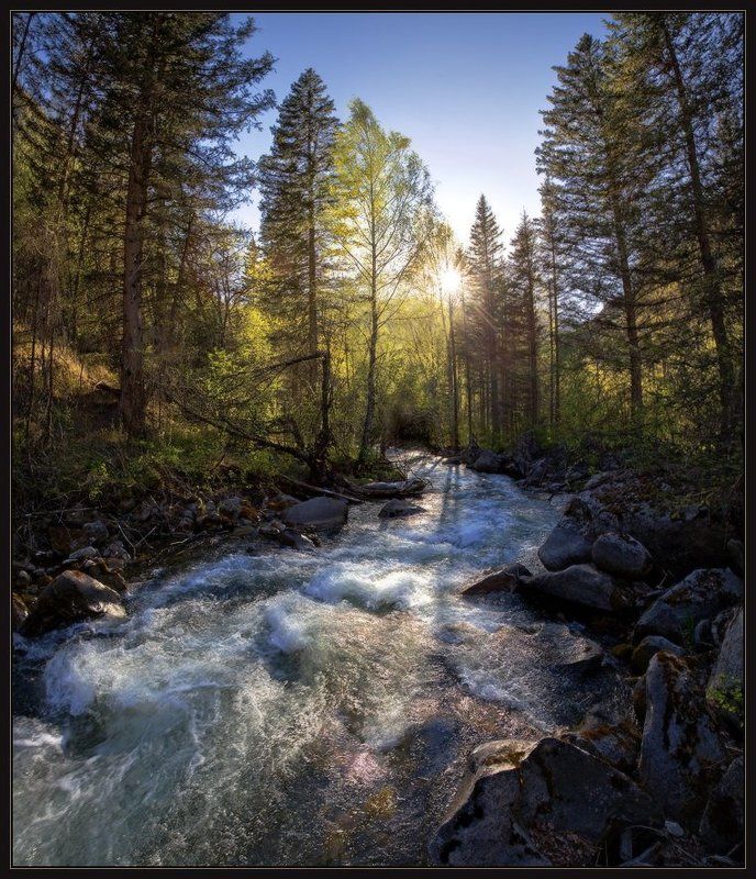 айлагуш, алтай, вечер, речка, тайга, ярославский виталий Вечерний Айлагуш фото превью