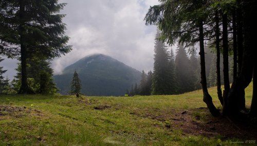 Распогодилось
