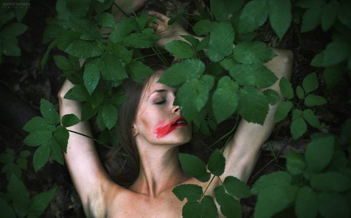 , Дмитрий Журавлев