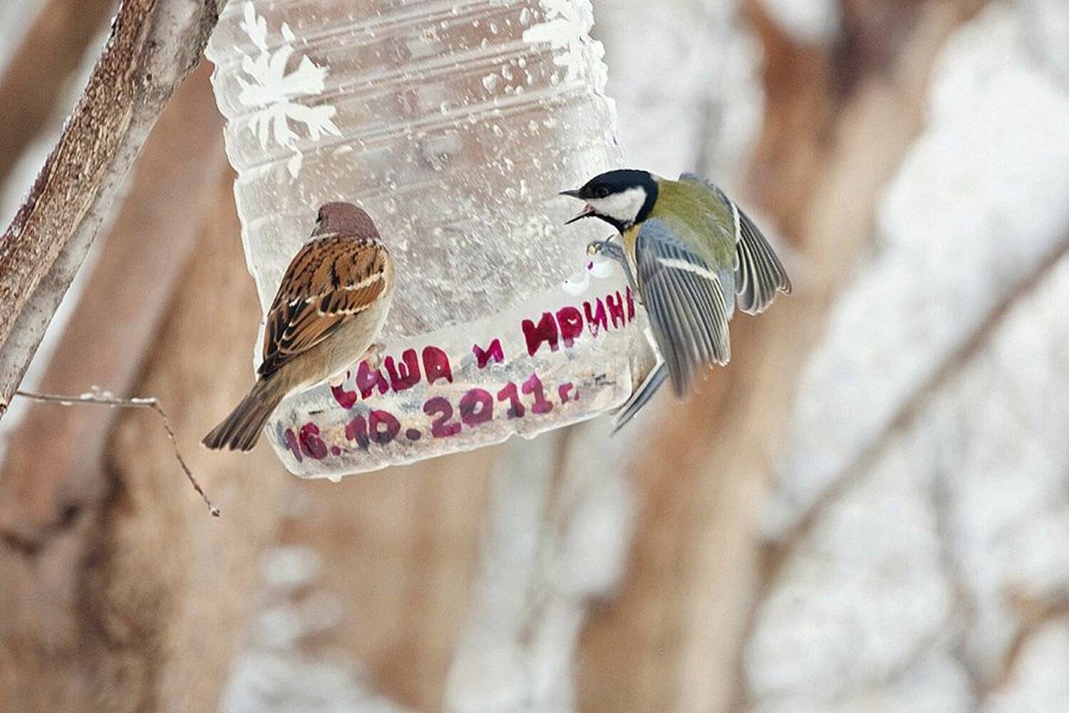 , Михаил Агеев