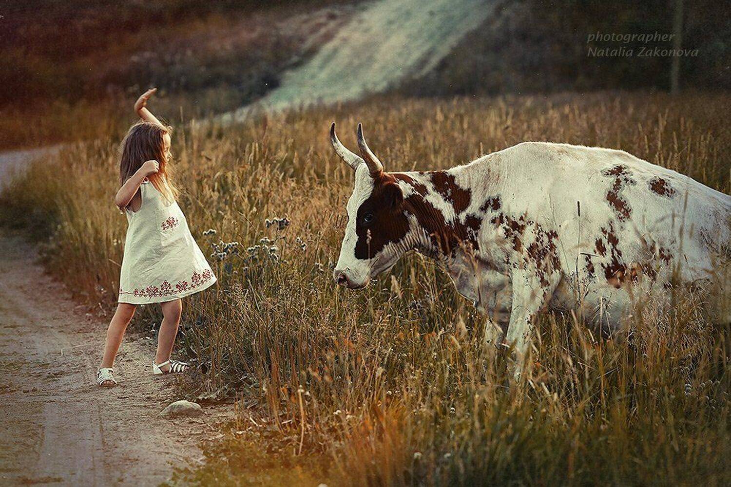 , Наталья Законова