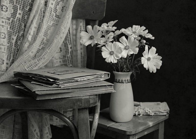 Альбомы фото превью