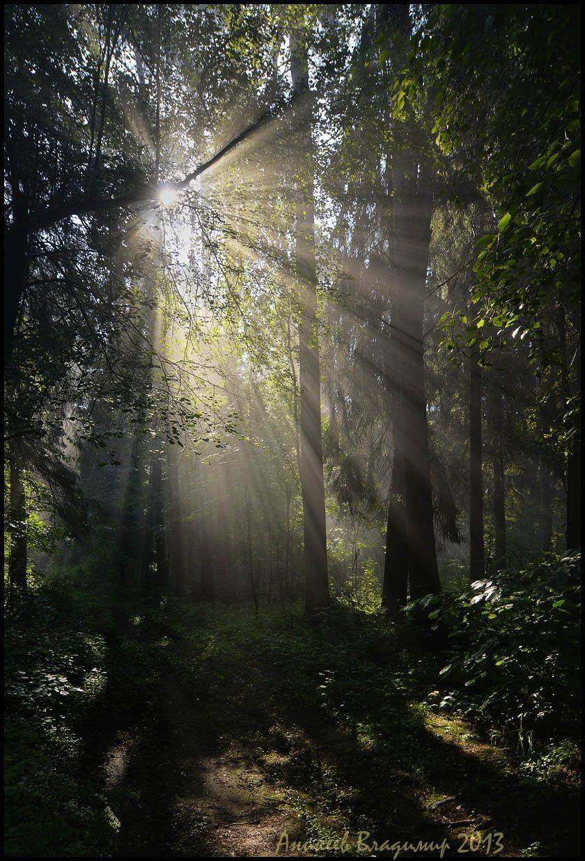 , Аникеев Владимир