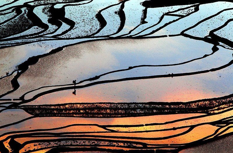 Terraces фото превью