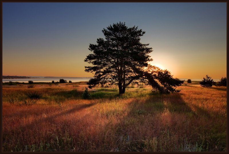 Утренний Этюд фото превью