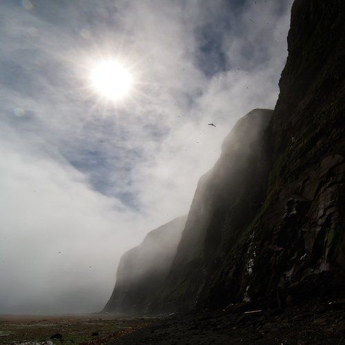 Пейзаж с туманом