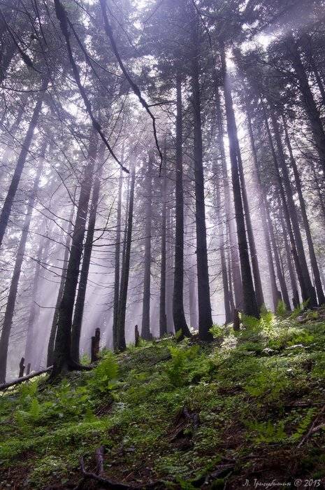 , Любомир Тригубишин