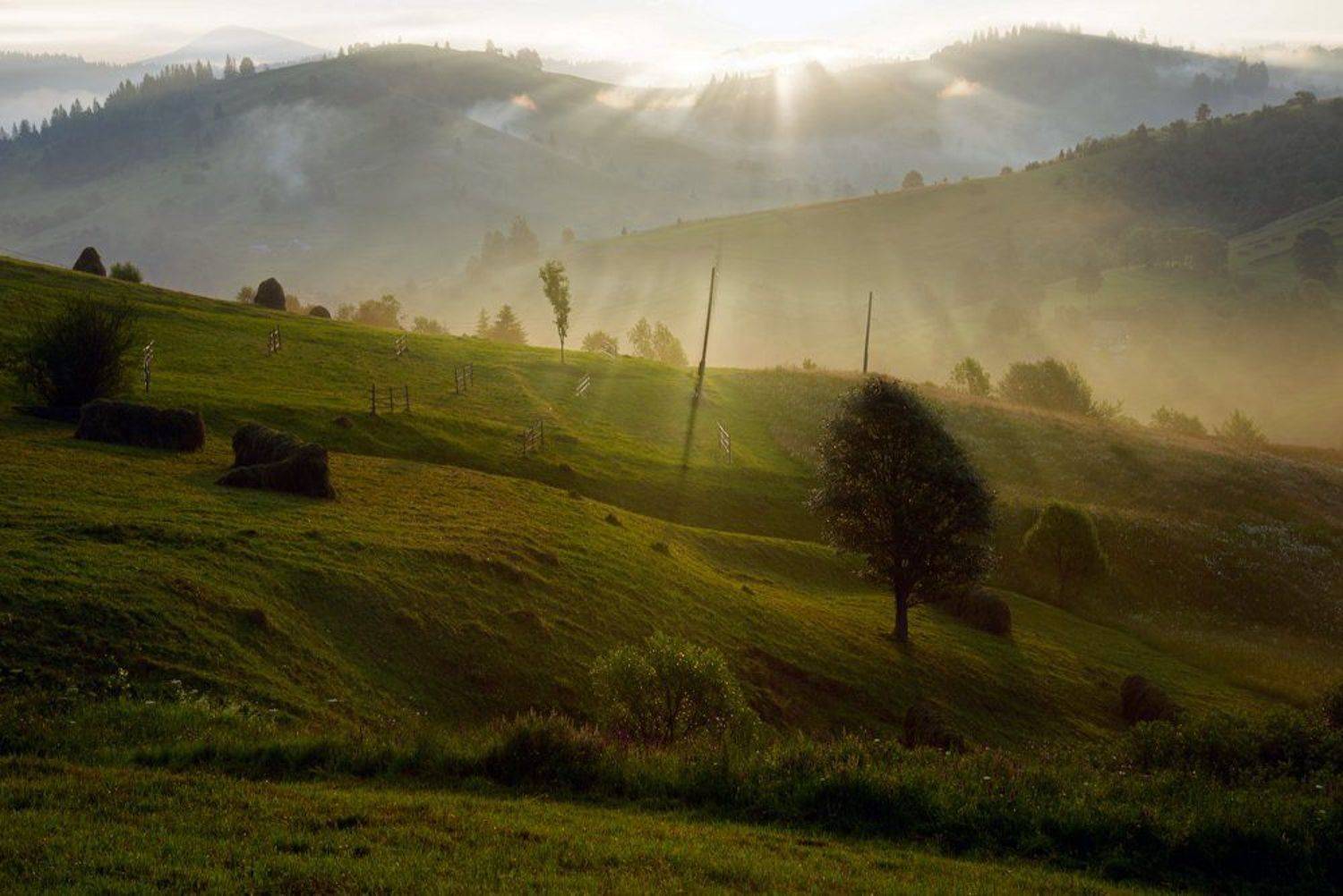 , Эдуард Гордеев