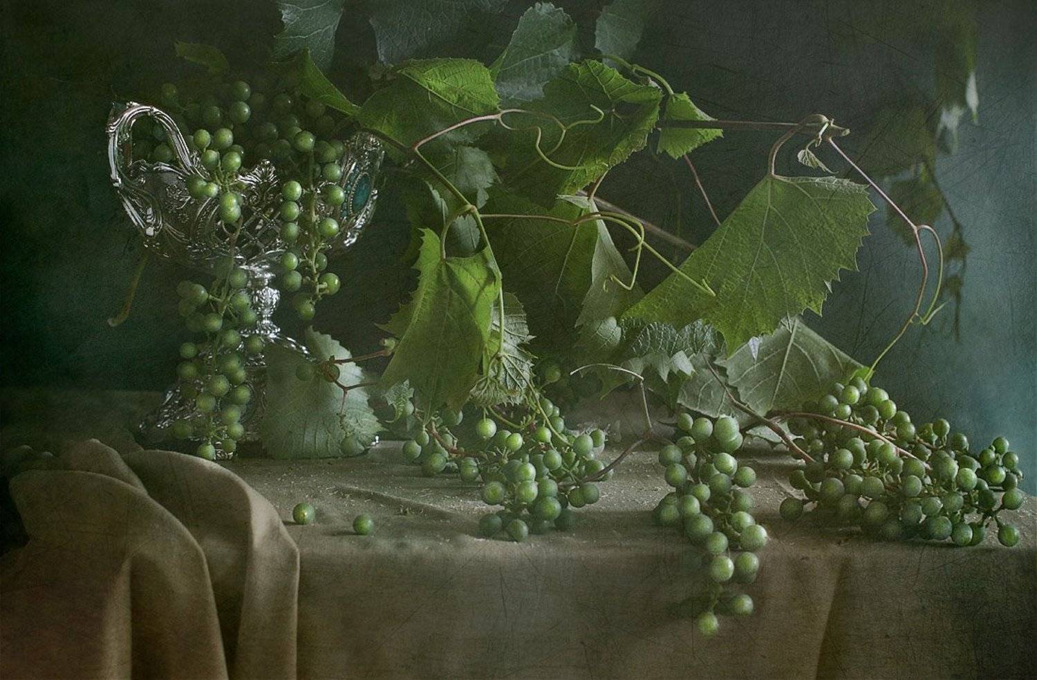 натюрморт, Svetlana Ра