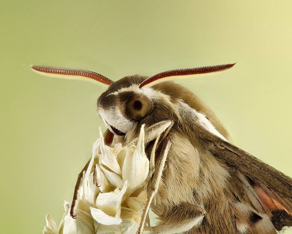 , Сергей Таланов