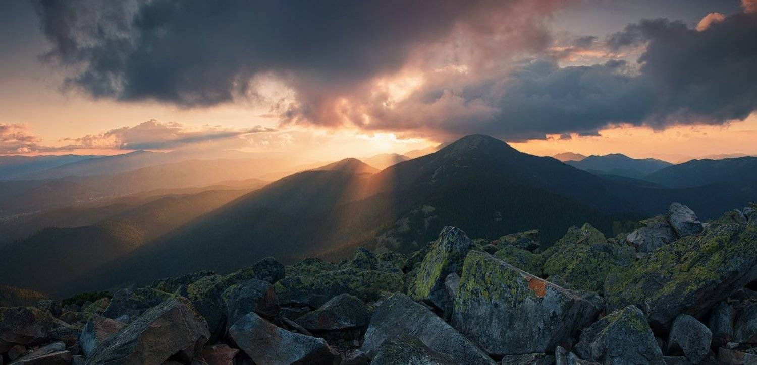 , Денис Кривой