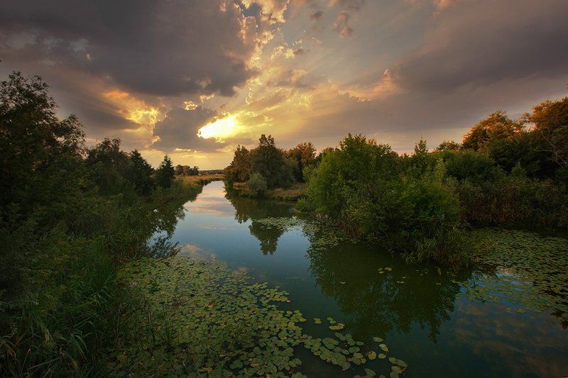 *** фото превью