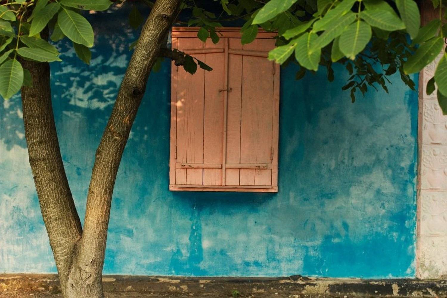 , Сюзанна Шевченко