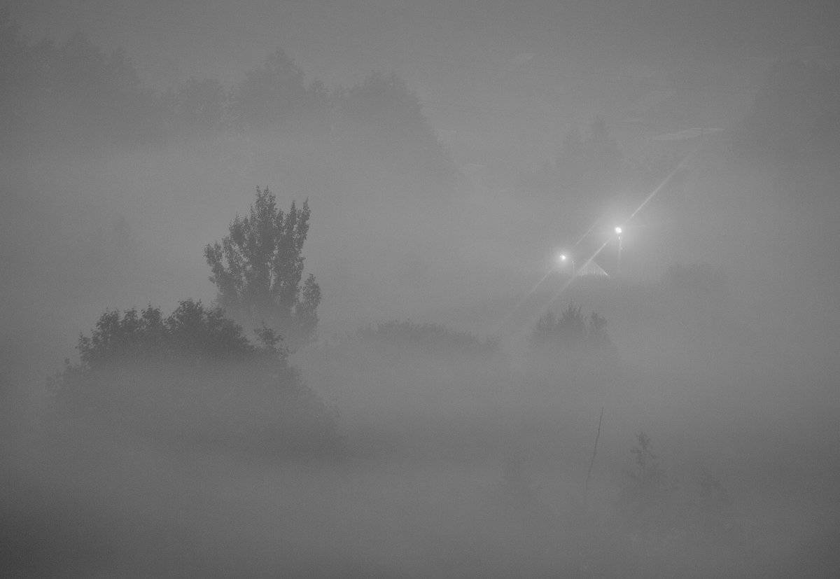 , Владимир Перепечаев