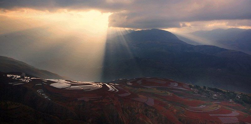 искусство земли фото превью