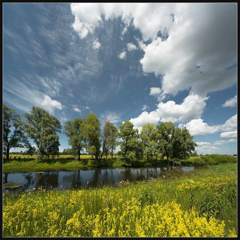 *** фото превью