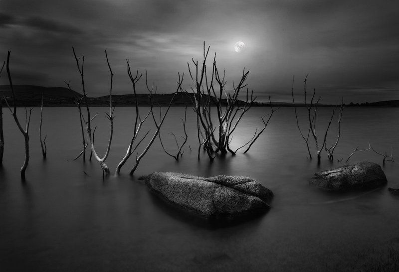 alfa centaurus #5 фото превью