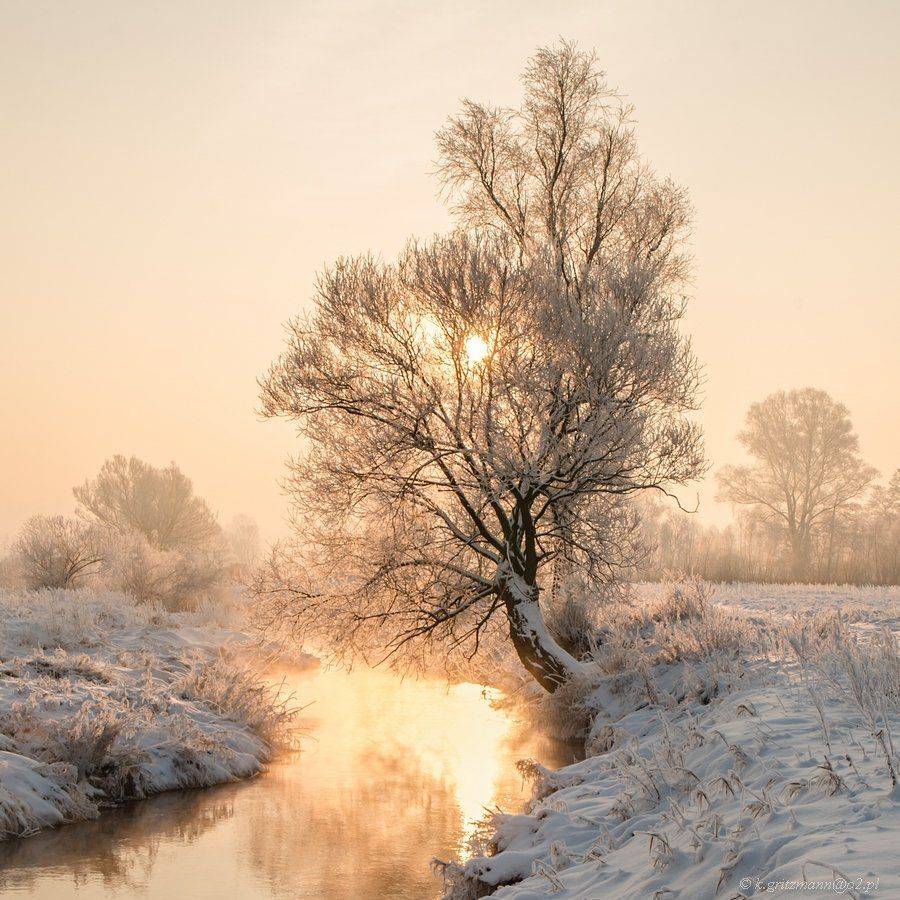 , Katarzyna Gritzmann