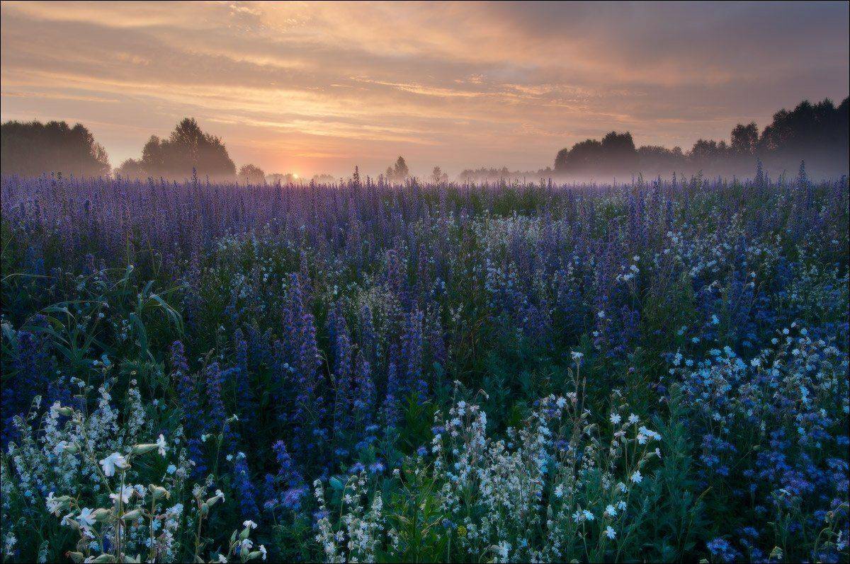 , Евгений Мартов