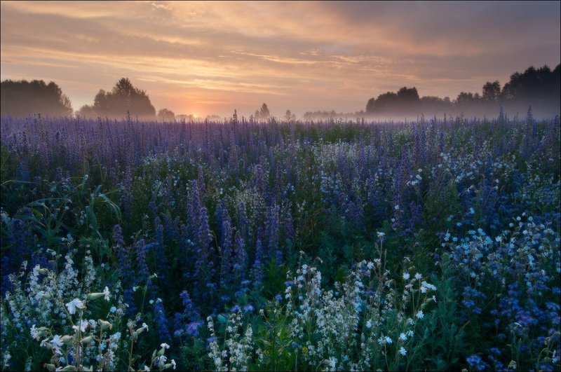 уходящий туман фото превью