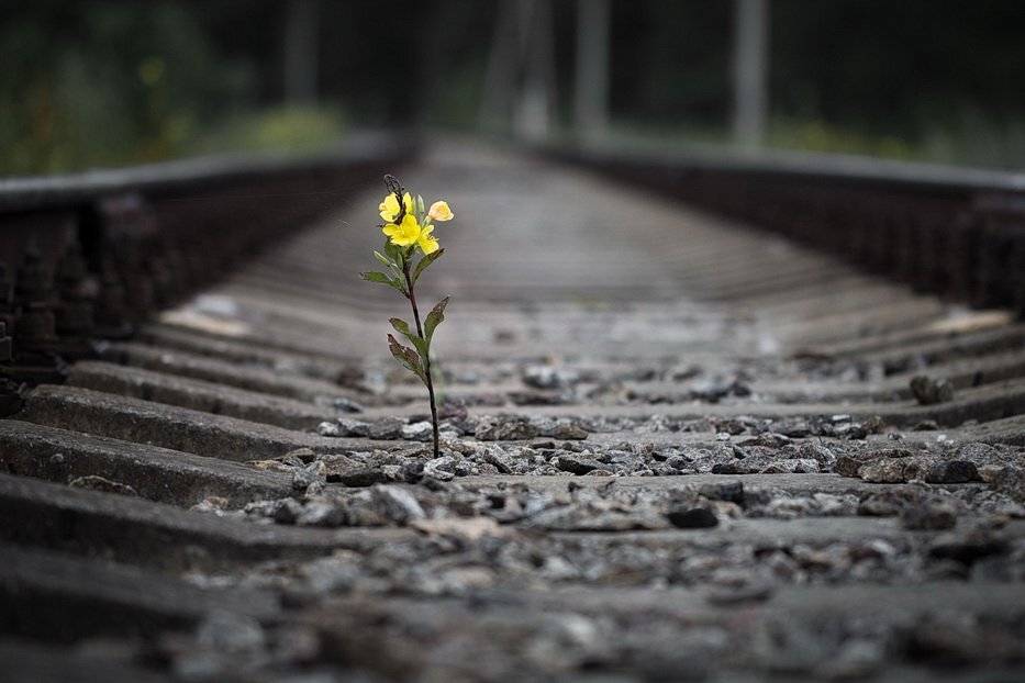 , Вилюнов Дмитрий