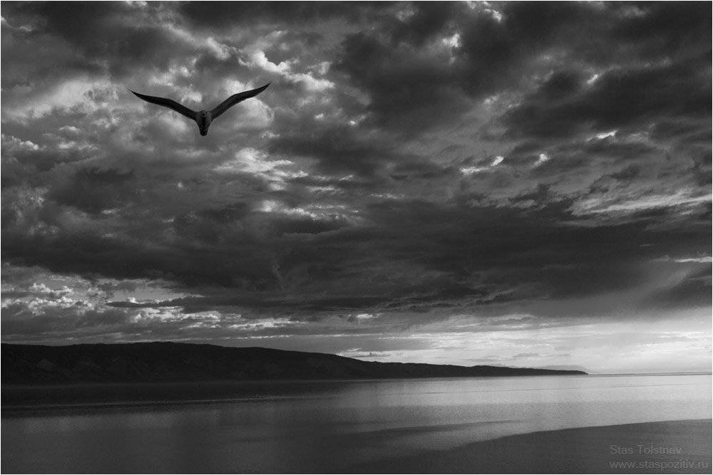 , Станислав Толстнев