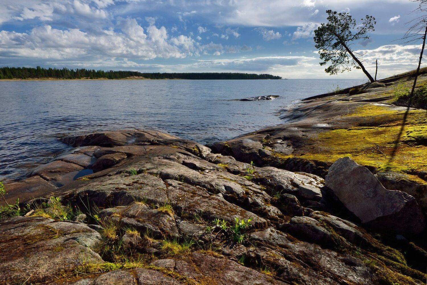 , Максим Евдокимов