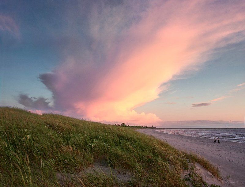 Розовая редкость фото превью