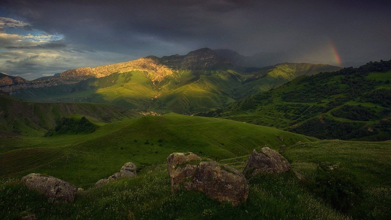 , Денис Богомолов