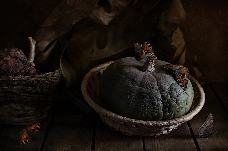 натюрморт Мотив с бабочкой фото превью