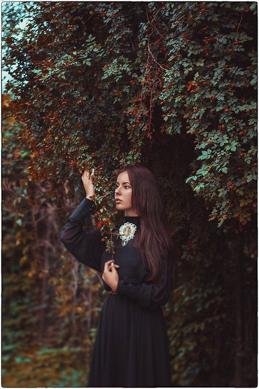 *** фото превью