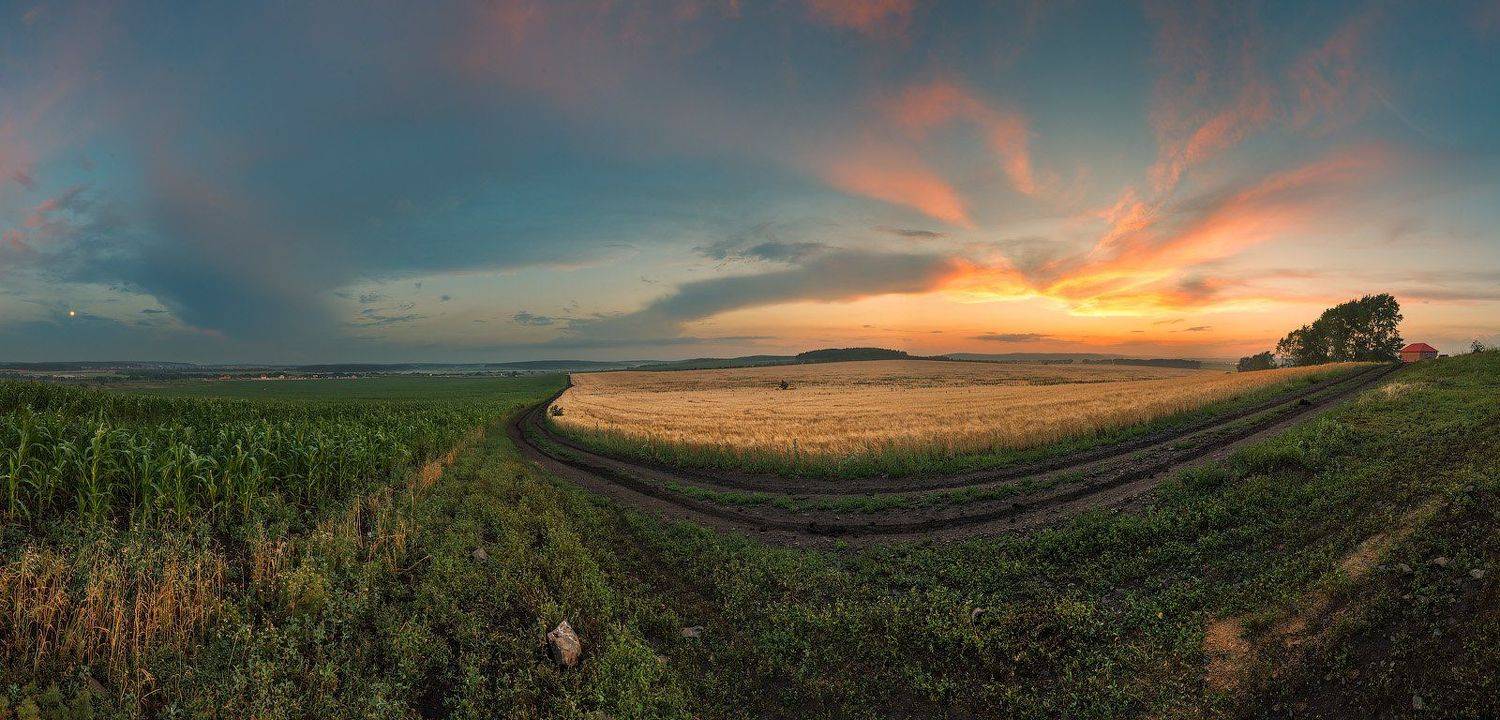 , Александр Гоголин