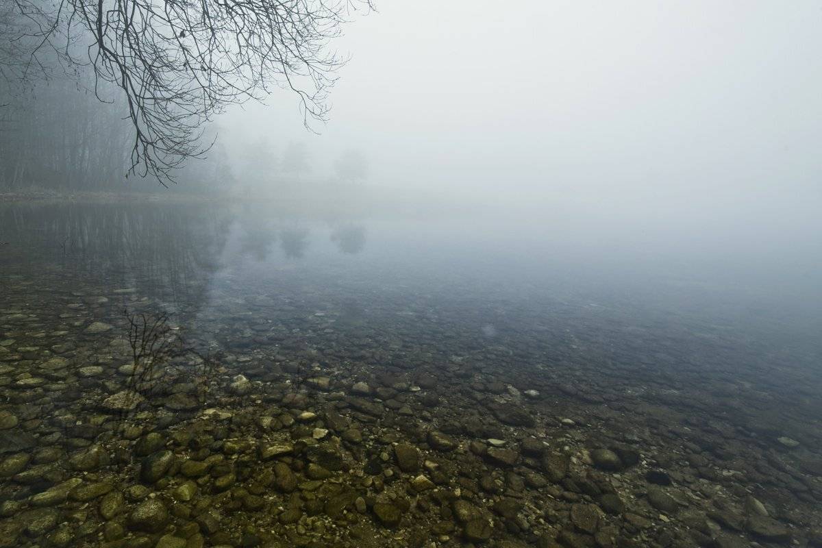 , Rimantas Bikulcius