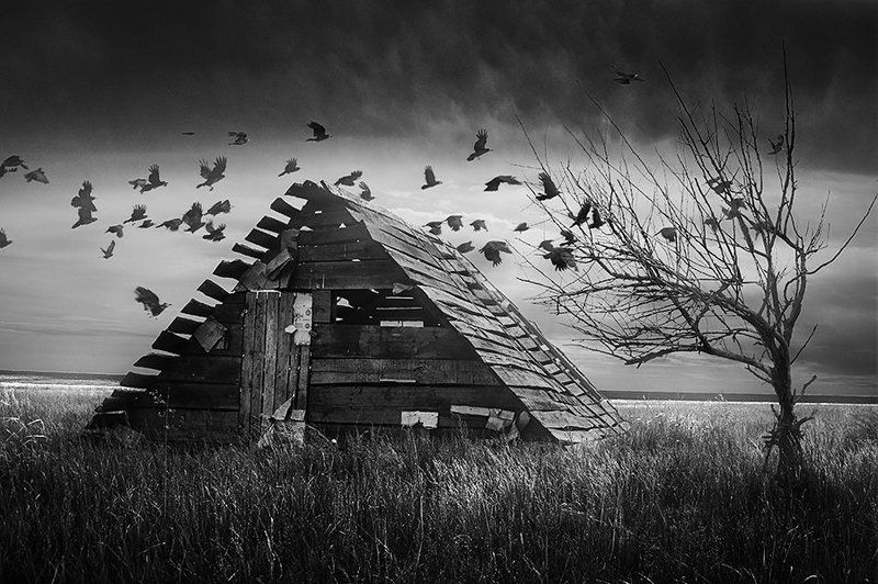 tdadiz, dizfx 22/06 фото превью