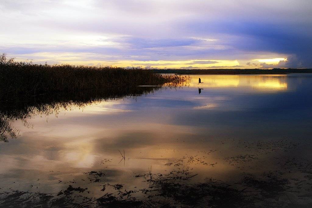 Вечер, Гроза, Лето, Сиверское озеро, Марина Никифорова