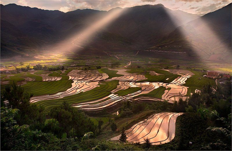 вьетнам, рисовые, террасы Vietnam фото превью