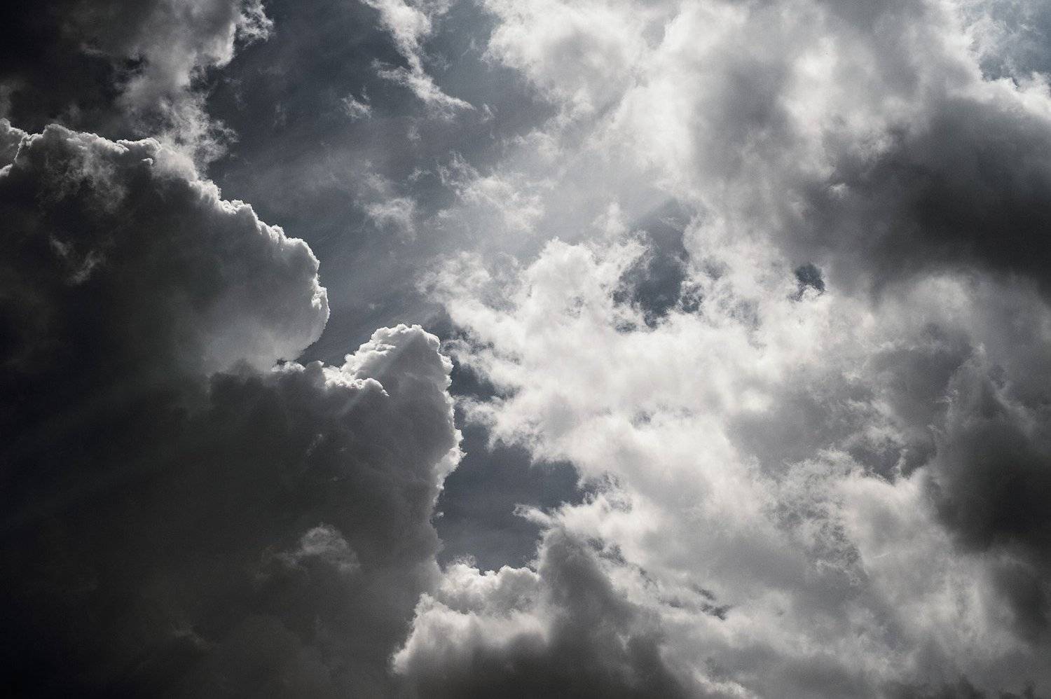 , Прожигин Максим