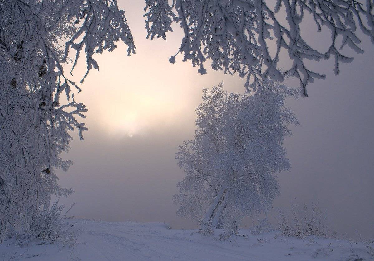 , Николай Морский