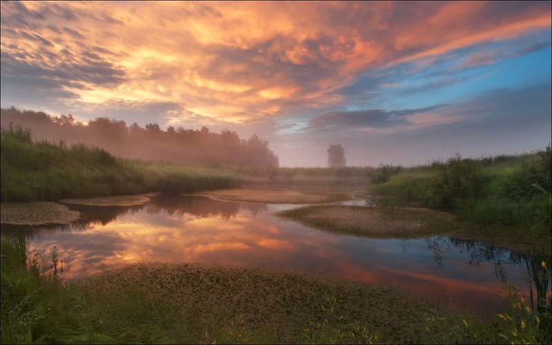 золото рассвета фото превью