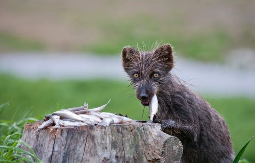 Это всё мне?