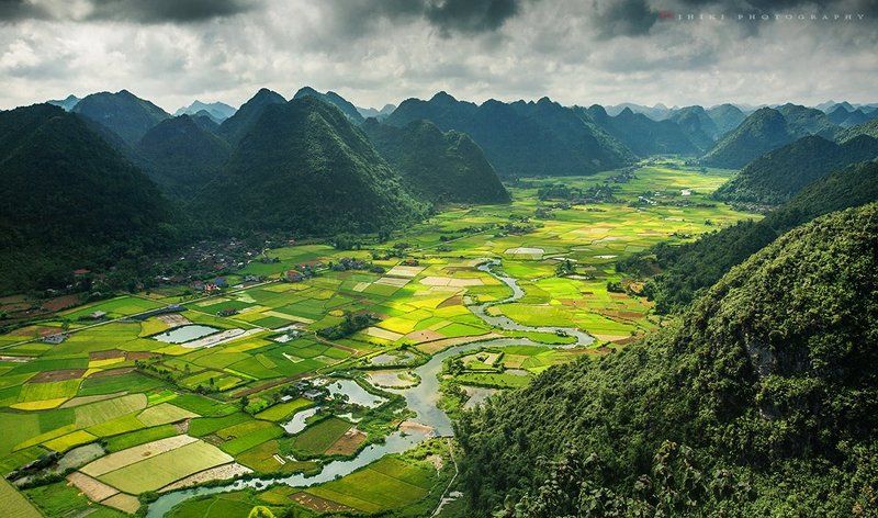 Bacson фото превью