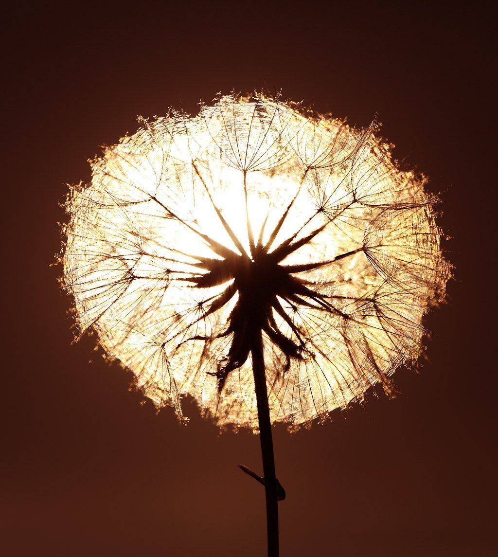 , Сергей Таланов