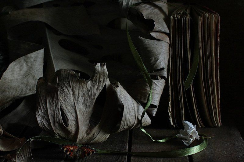 натюрморт Усталость фото превью