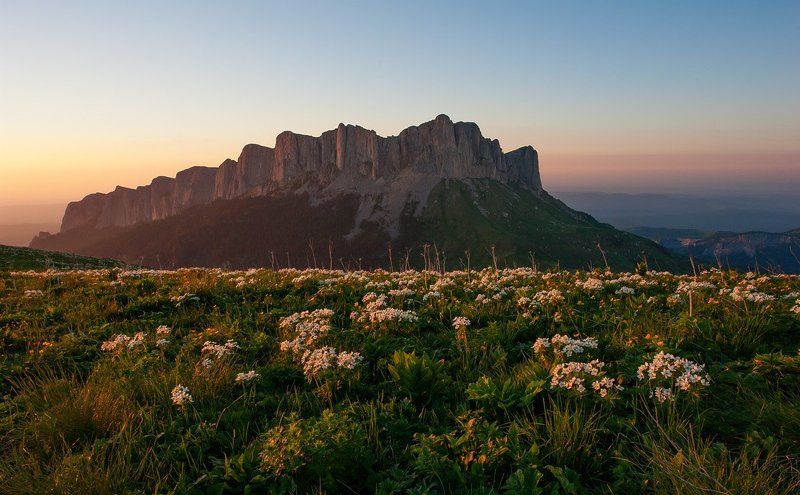 тхач  фото превью