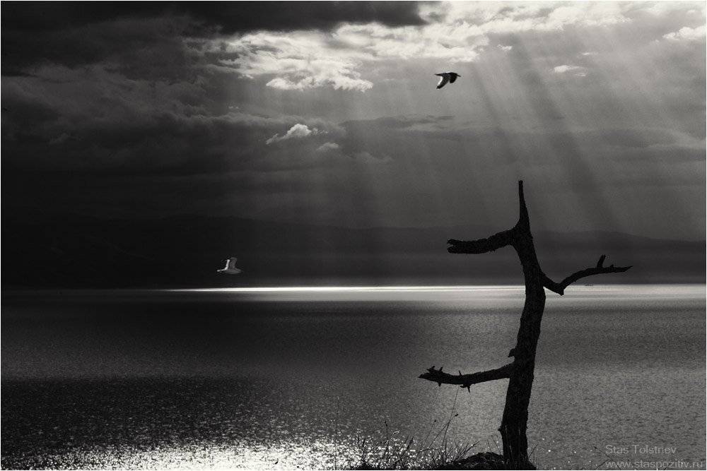 , Станислав Толстнев