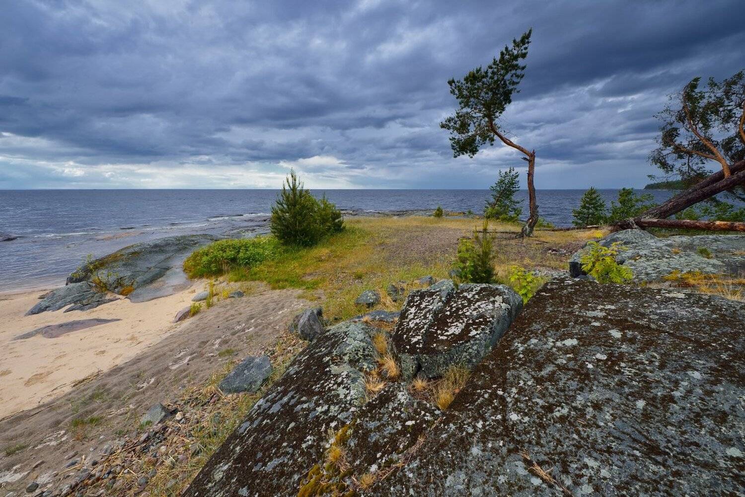 , Максим Евдокимов