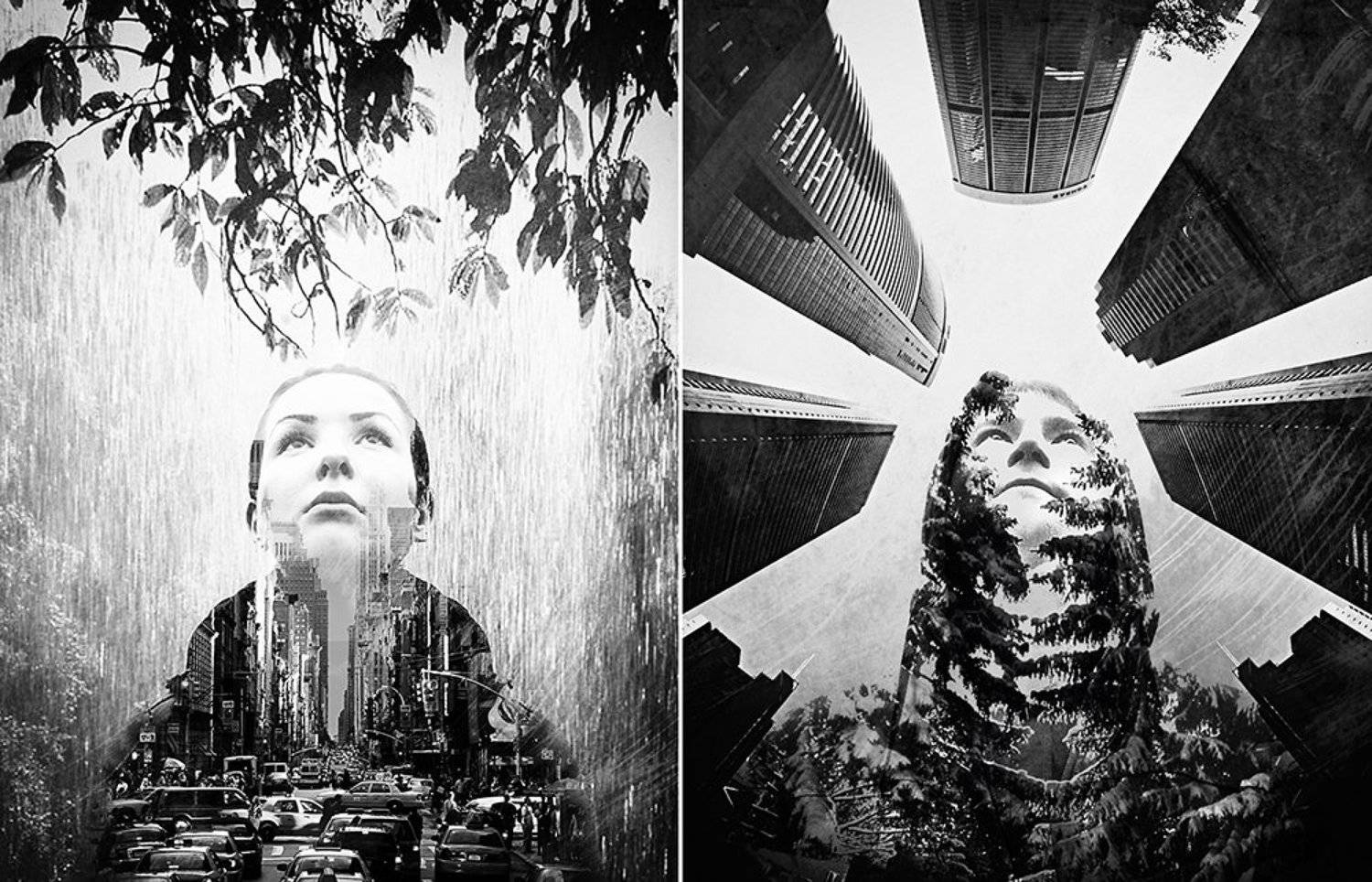 , Конашук Антон