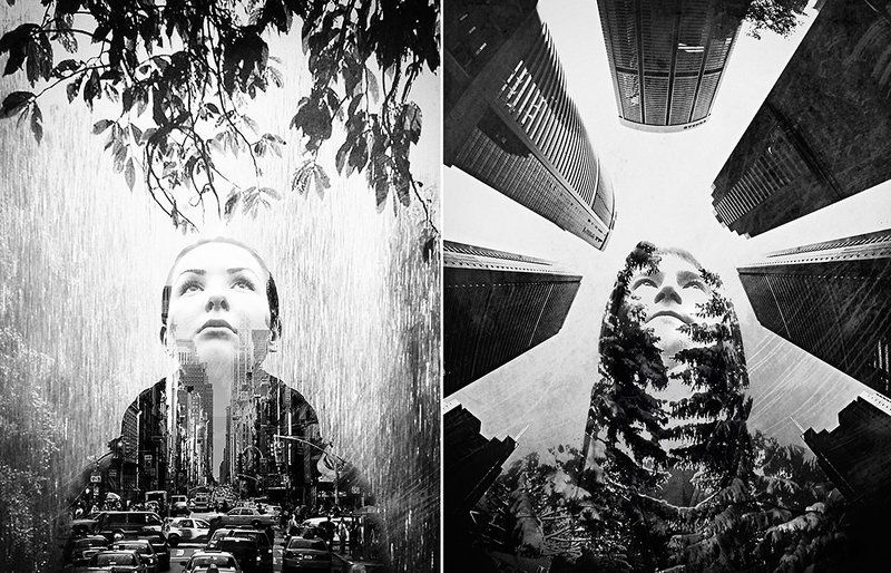 Путь сердца фото превью