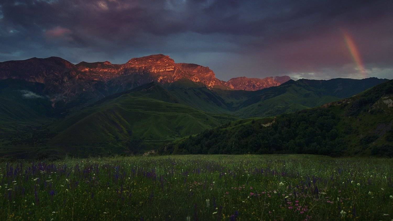 , Денис Богомолов